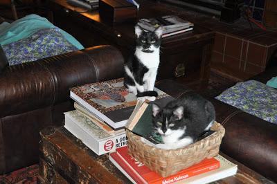 Five Years Ago . . .