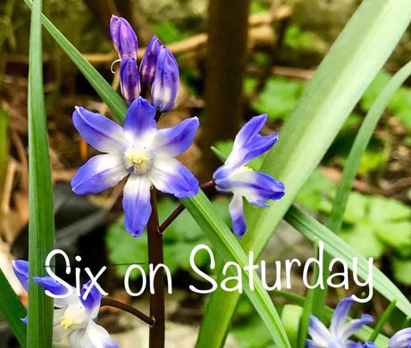 Six on Saturday – 7th April 2018