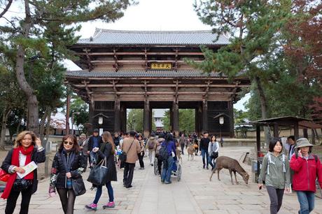 Kansai Diaries, Day 4.5: Todaiji, Yoshiki-en, and Kofukuji in Nara Park