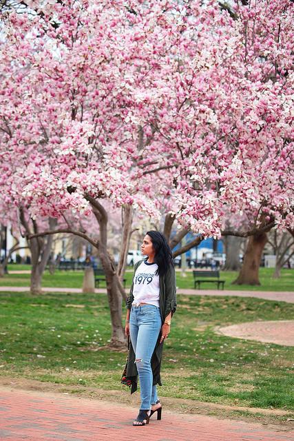 Starting To Look Like Spring Cherry Blossom Season Tanvii.com