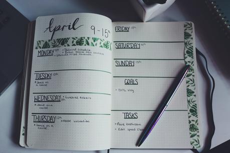 Ways I use my Bullet Journal to Organise my Blog