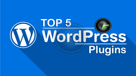 Top 5 WordPress Plugin