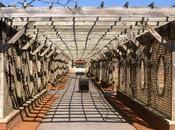 Revisiting Biltmore Greenhouse