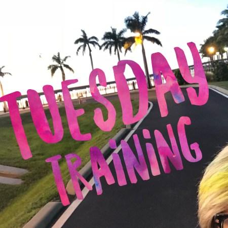 Tuesday Training Report
