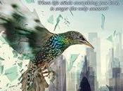 Smash Windows Jane Davis