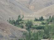 DAILY PHOTO: Green Valley Floor