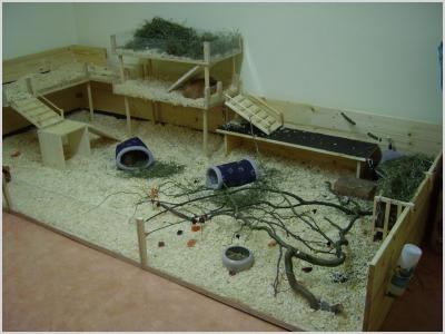 make guinea pig cage