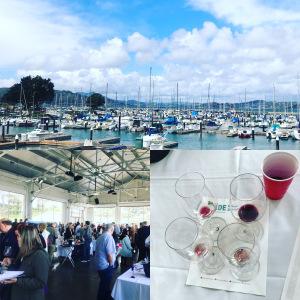 Trade Show Confidential: NZ Wines SF