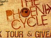 Phoenix Cycle Collopy