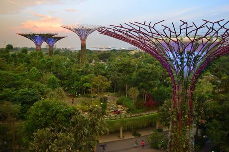 10 Best Tourist Attractions in Singapore