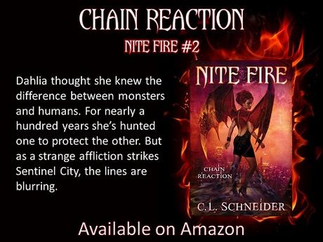 Nite Fire  by C.L. Schneider