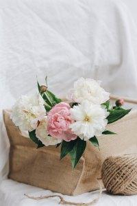 Hone One’s Own Hone One’s Own