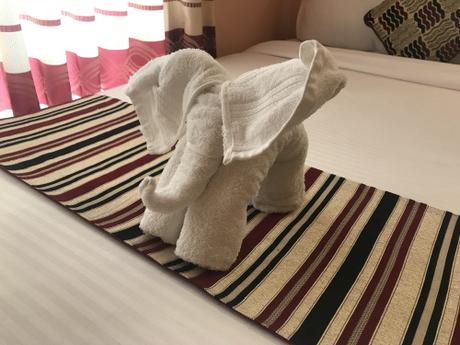 DAILY PHOTO: Best Towel Origami