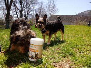 Nurish Pet Salmon Oil free giveaway..with Sweetie Bear and Jep!