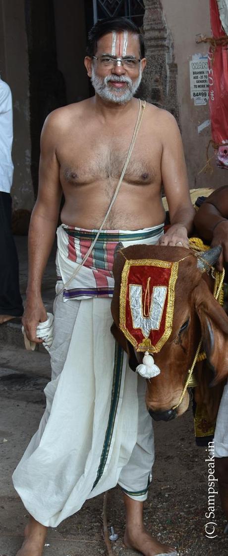 ~ the oxen of Gir - at Triplicane