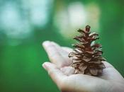 Ways Better Environmental Steward 2018