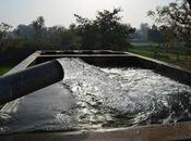 Threat Underground Freshwater Resource Unveiled; Things Happening Around That Have Missed