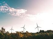 Environmental Jobs Going Professionally Green