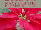 Scripture Picture Forgives Blood