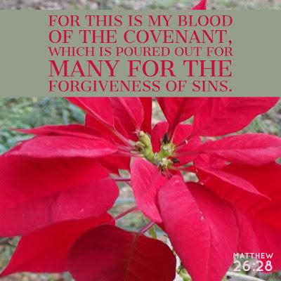 Scripture picture #3: He forgives by the blood