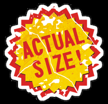 Size Acceptance Is Not Optional