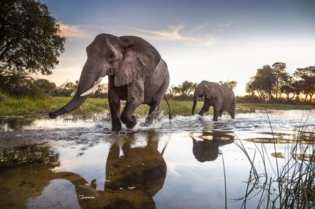 How One Expedition Team is Trying to Save the Okavango Delta