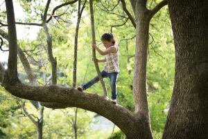 Kids Climbing Trees