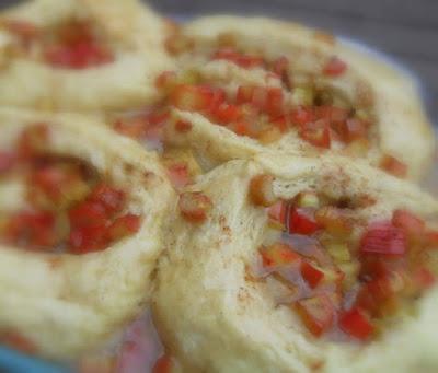 Roly Poly Rhubarb Pudding