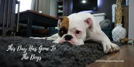 Today Kinda Sucks. But There’s Always YouTube…