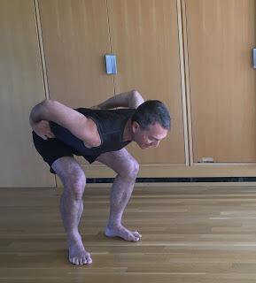 Featured Pose: Fig Leaf Forward Fold