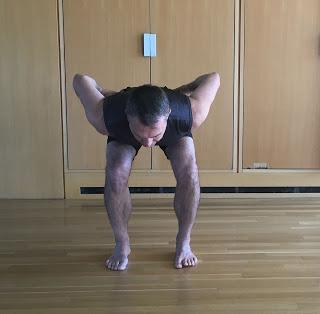 Featured Pose: Fig Leaf Forward Fold