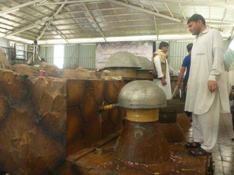 Backpacking in Saudi Arabia: Touring the Rashid Husain Al Qorashei Rose Farm and Factory in Taif Backpacking in Saudi Arabia: Touring the Rashid Husain Al Qorashei Rose Farm and Factory in Taif