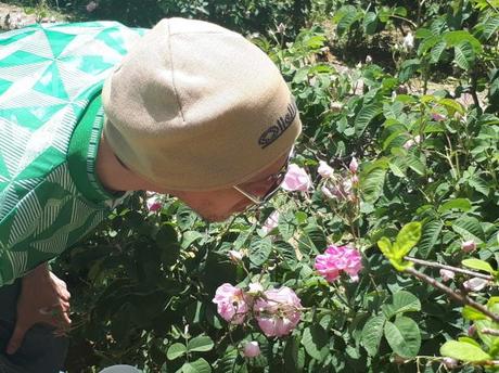 Backpacking in Saudi Arabia: Touring the Rashid Husain Al Qorashei Rose Farm and Factory in Taif Backpacking in Saudi Arabia: Touring the Rashid Husain Al Qorashei Rose Farm and Factory in Taif