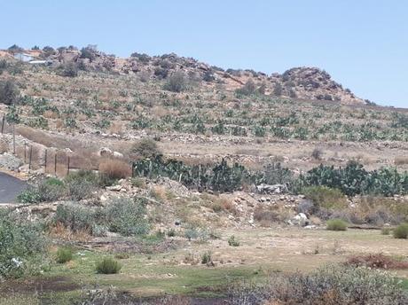 Backpacking in Saudi Arabia: Touring the Rashid Husain Al Qorashei Rose Farm and Factory in Taif Backpacking in Saudi Arabia: Touring the Rashid Husain Al Qorashei Rose Farm and Factory in Taif