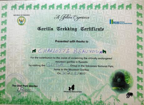 Gorilla tracking certificate Rwanda. Diary of a Muzungu