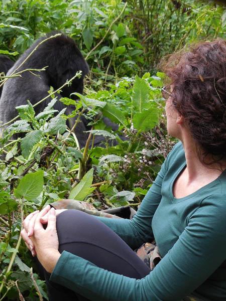 close gorilla encounter Rwanda's Susa family