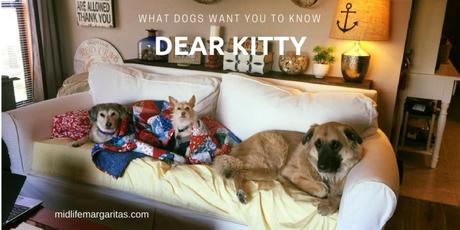 What Your Dog Wishes He/She Could Tell You…