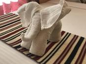 DAILY PHOTO: Best Towel Origami