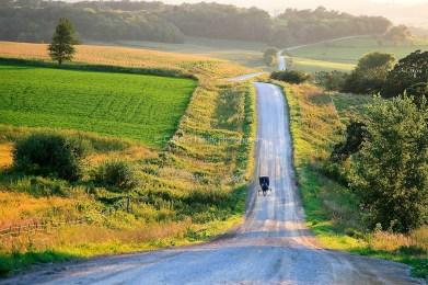 Beneath the Summer Sun (Every Amish Season #2) by Kelly Irvin