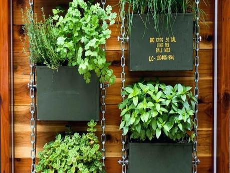 vertical kitchen garden vertical herb garden in your kitchen