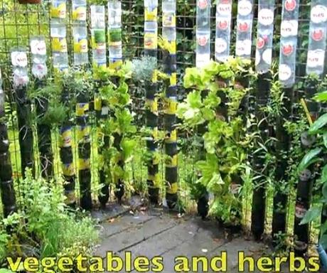 vertical kitchen garden ing indoor vertical herb garden