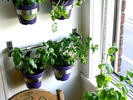 vertical kitchen garden indoor vertical herb garden diy