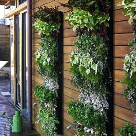 vertical kitchen garden diy vertical vegetable garden wall