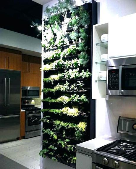 vertical kitchen garden diy vertical herb garden with a shoe organizer