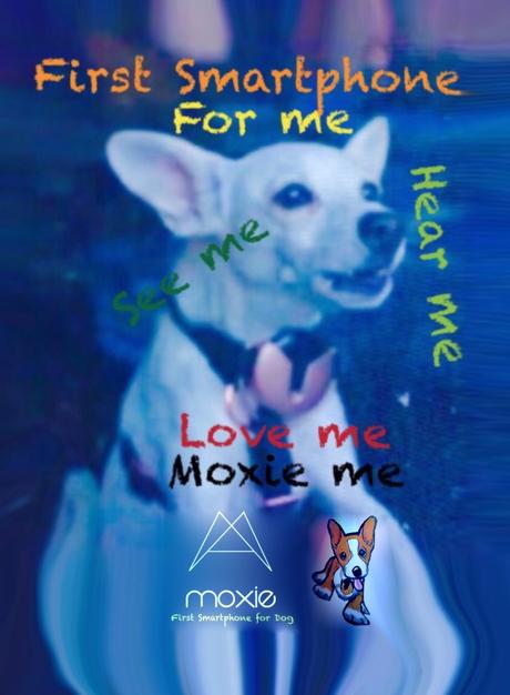 moxie - dog smartphone -  first smartphone for dogs and gives them the ability to make calls in real time and give you a peace of mind. This is all through Moxie bark patented call technology that uses sound. 