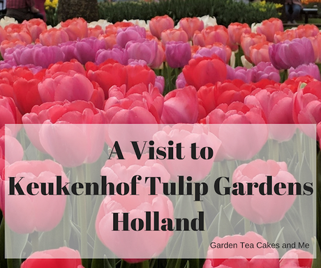Visit+Guide+Keukenhof+Tulip+Gardens+Amsterdam