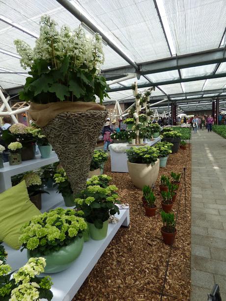 Visit Keukenhof Flower Pavilions Holland