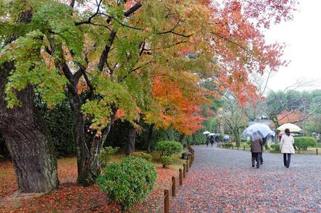 Kansai Diaries, Day 5: Rainy Day in Uji City