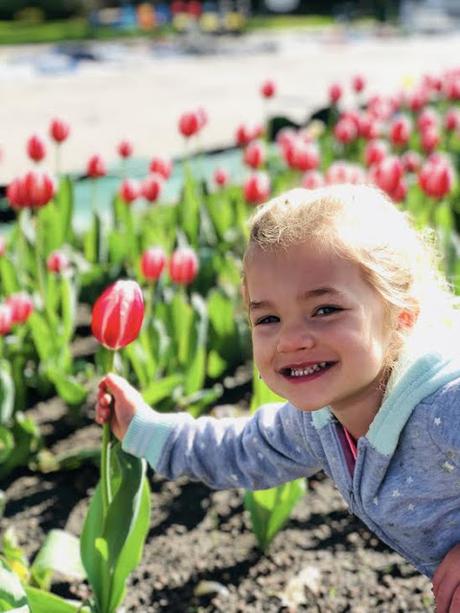 How To Experience The Tulip Festival In Pella, Iowa