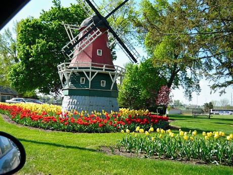 How To Experience The Tulip Festival In Pella, Iowa